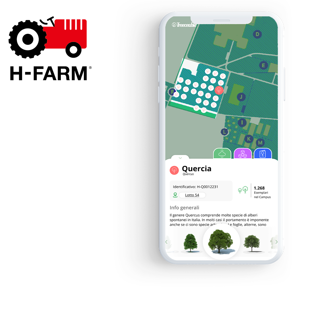 Genuine Way Treeceable H-FARM project solution