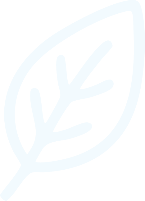 Risorsa 11 png modules